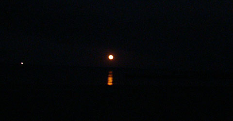 moon.jpg