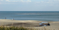 sea.jpg