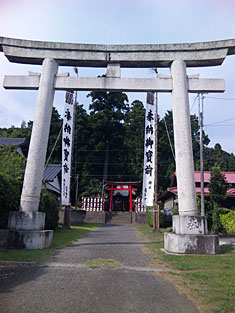 siigi.jpg