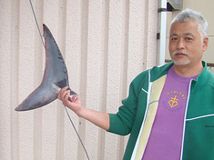 t110507shark.jpg