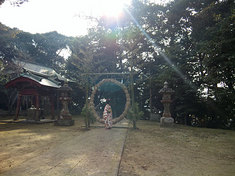tendo-1.jpg