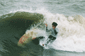 ޏq(TF SURFSP)
