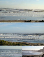 090201waveinfo.jpg
