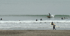 090504taito1.jpg