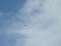 090707pm-eagle1.jpg