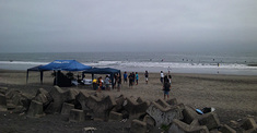 090802am-eagle1.jpg