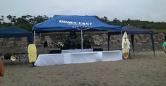 090802am-eagle2.jpg
