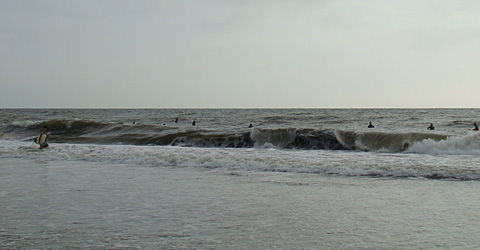 090816sandber-1.jpg