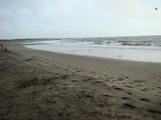 090816sandber-a.jpg