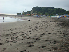 090816sandber-b.jpg
