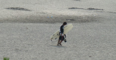 090820eagle1.jpg