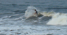 090907pm-eagle1.jpg