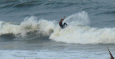 090907pm-eagle4.jpg