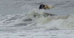 090909pm-eagle1.jpg