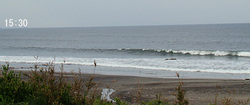 090911pm-eagle1.jpg