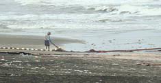 090930eagle1.jpg