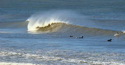 091008pm-eagle1.jpg