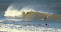 091008pm-eagle4.jpg