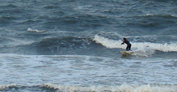 091129pm-eagle1.jpg
