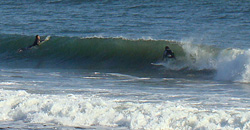 091202eagle1.jpg