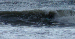091205pm-taito1.jpg