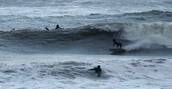 091205pm-taito2.jpg