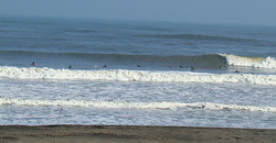091206noon-taito2.jpg
