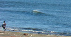 091219eagle1.jpg