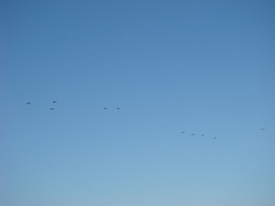091229pm-taito1.jpg