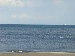 091231pm-bird1.jpg