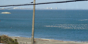 100113noon-eagle.jpg