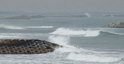 100118shida-l.jpg