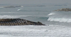 100118shida-r.jpg