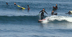 100208pm-taito1.jpg