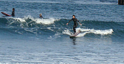 100208pm-taito4.jpg