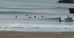 100209pm-taito2.jpg