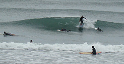 100209pm-taito3.jpg