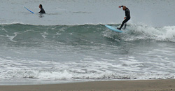 100209pm-taito4.jpg