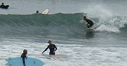 100209pm-taito5.jpg