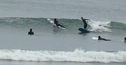 100209pm-taito7.jpg