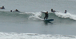 100209pm-taito8.jpg