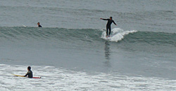 100209pm-taito9.jpg