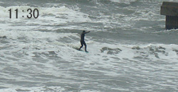 100211noon-taito2.jpg