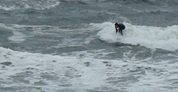 100211pm-taito1.jpg