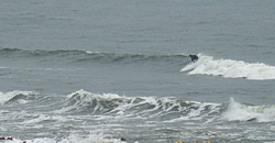 100222eagle1.jpg