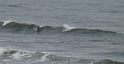 100222eagle2.jpg
