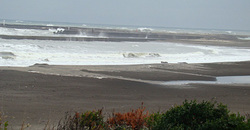 100228pm-taito1.jpg