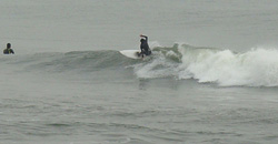 100301eagle1.jpg