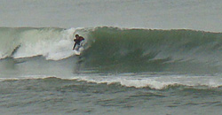 100301eagle2.jpg