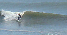 100305eagle2.jpg